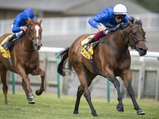 Godolphin’s Terebellum seeks Breeders’ Cup glory