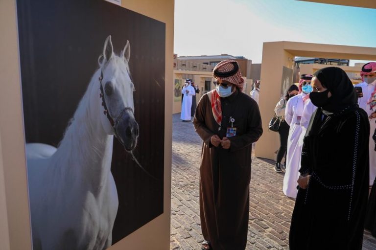 Katara International Arabian Horse Festival off to great start
