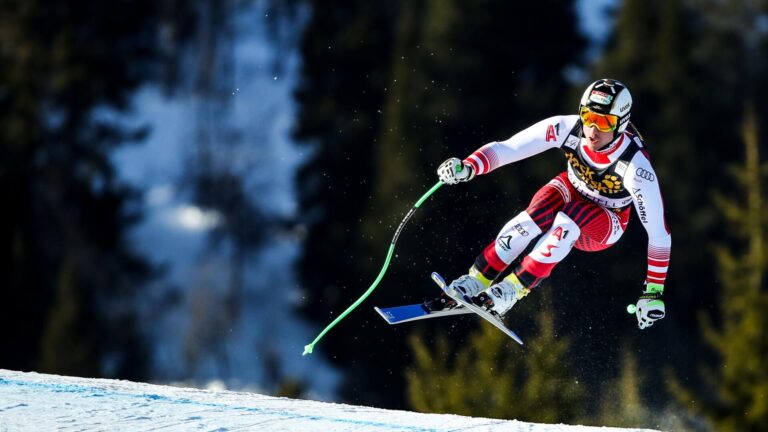 Austrian speed specialist Reichelt retires