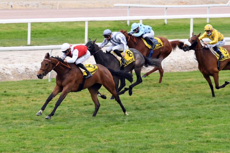 Ali Bin Hamad Al Attiya’s Light Stars wins Listed Prix Caravelle
