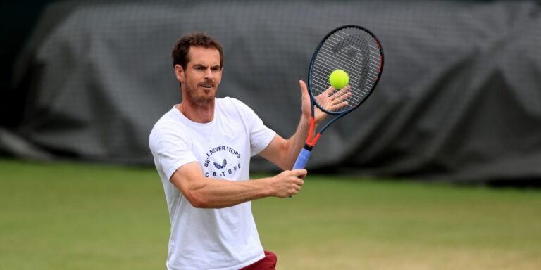 Murray downbeat on chances of return to top
