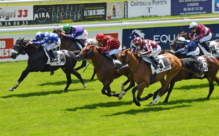 MOHARRAM wins Gr 3 PA Prix Tidjani English