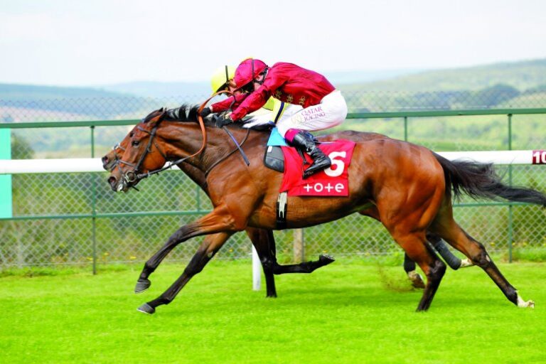 Mise En Scene remains unbeaten with Gr3 victory at Goodwood