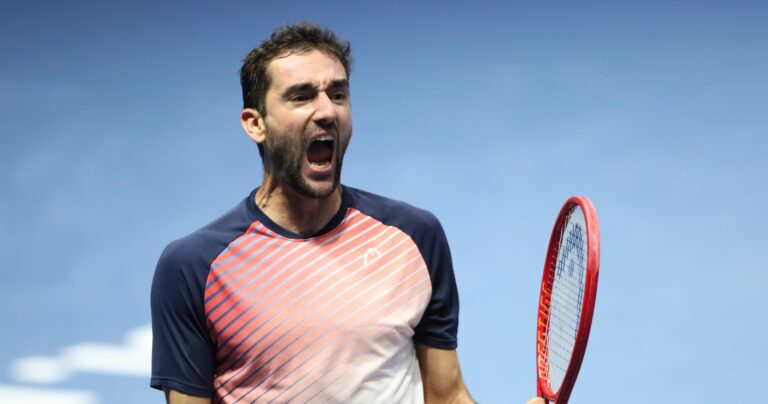 Cilic wins in Saint Petersburg for 20th career title